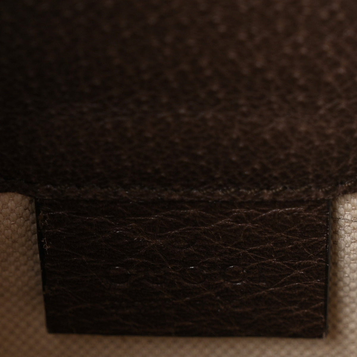 GG Supreme Monogram Web Ophidia Bucket Bag Brown wholesalehk.shop