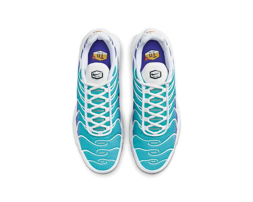 Nike Air Max Plus "Aqua"