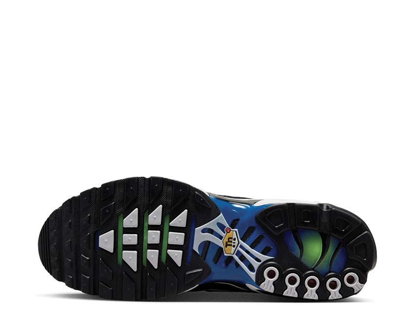 Nike Air Max Plus "Royal Checker"