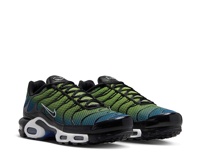 Nike Air Max Plus "Royal Checker"