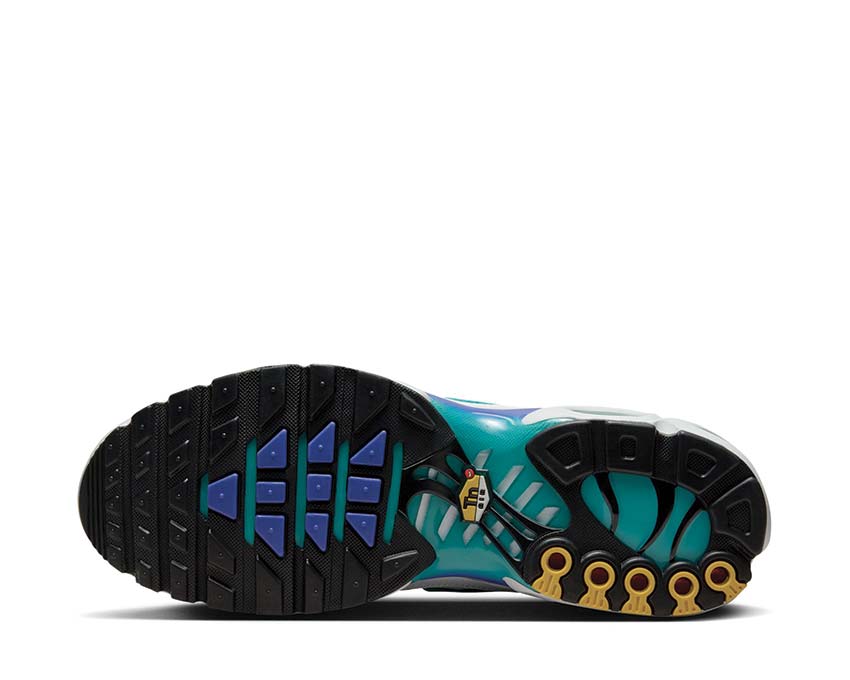 Nike Air Max Plus "Aqua"