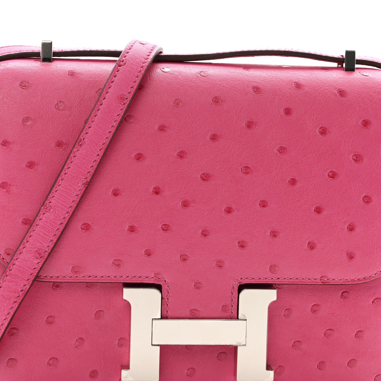Ostrich Constance 18 Rose Tyrien £¨ Direct shipment via from wholesalehk.shop