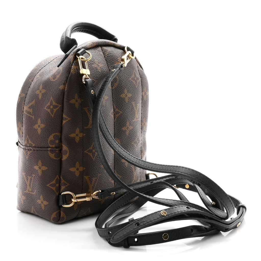 Monogram Palm Springs Backpack Mini £¨ Direct shipment via from wholesalehk.shop
