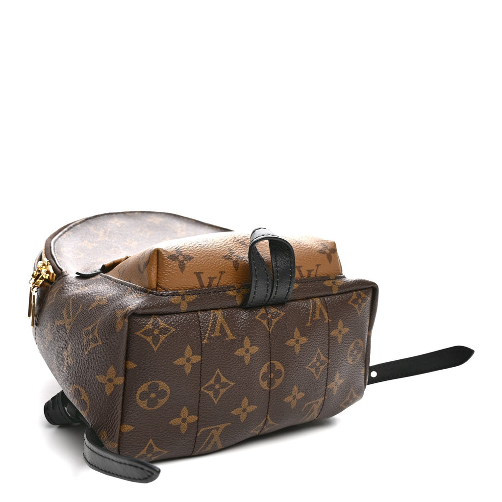 Reverse Monogram Palm Springs Backpack PM £¨ Direct shipment via from wholesalehk.shop