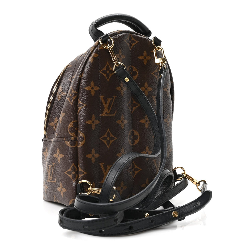 Monogram Palm Springs Backpack Mini £¨ Direct shipment via from wholesalehk.shop