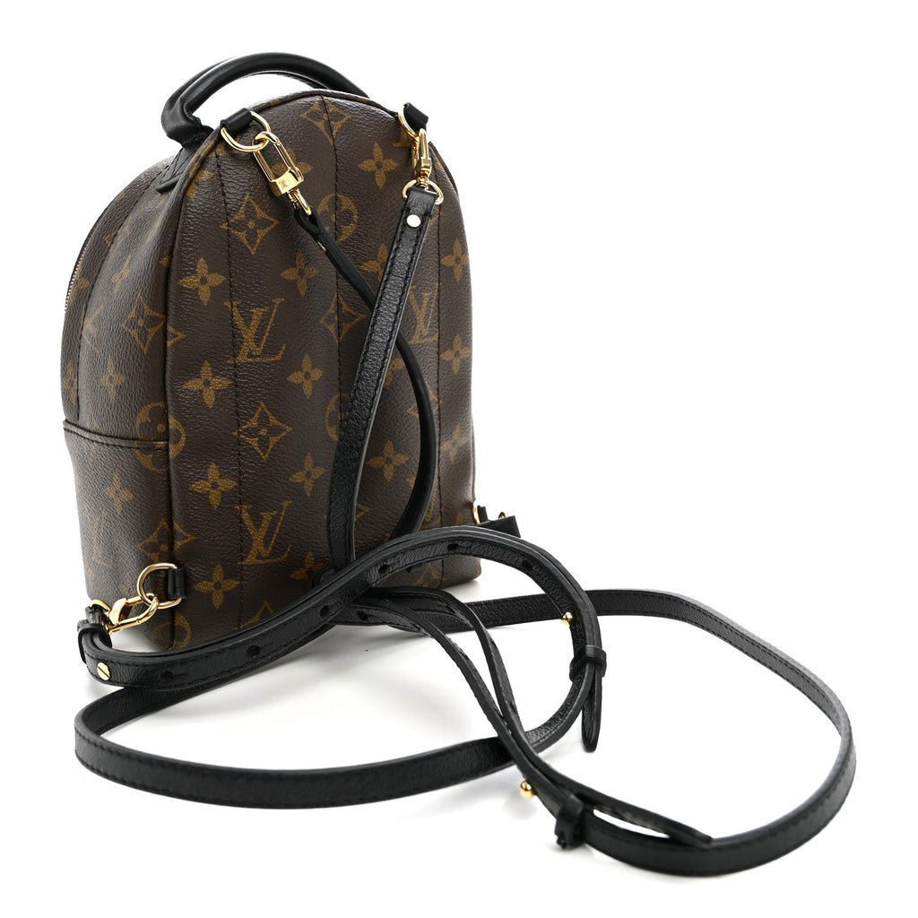 Monogram Palm Springs Backpack Mini £¨ Direct shipment via from wholesalehk.shop