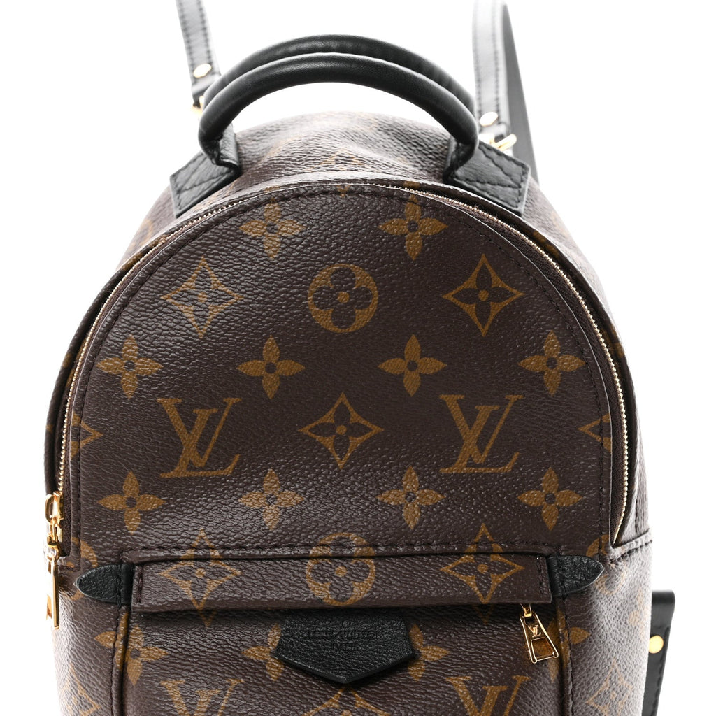 Monogram Palm Springs Backpack Mini £¨ Direct shipment via from wholesalehk.shop