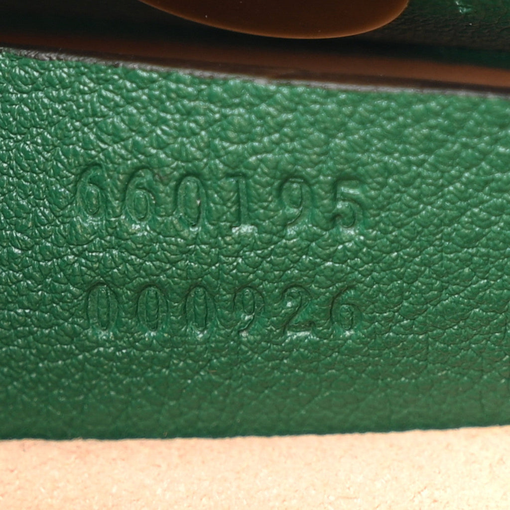 Wonka Grain Calfskin Small Diana Tote Bag Green Yellow Fluo wholesalehk.shop