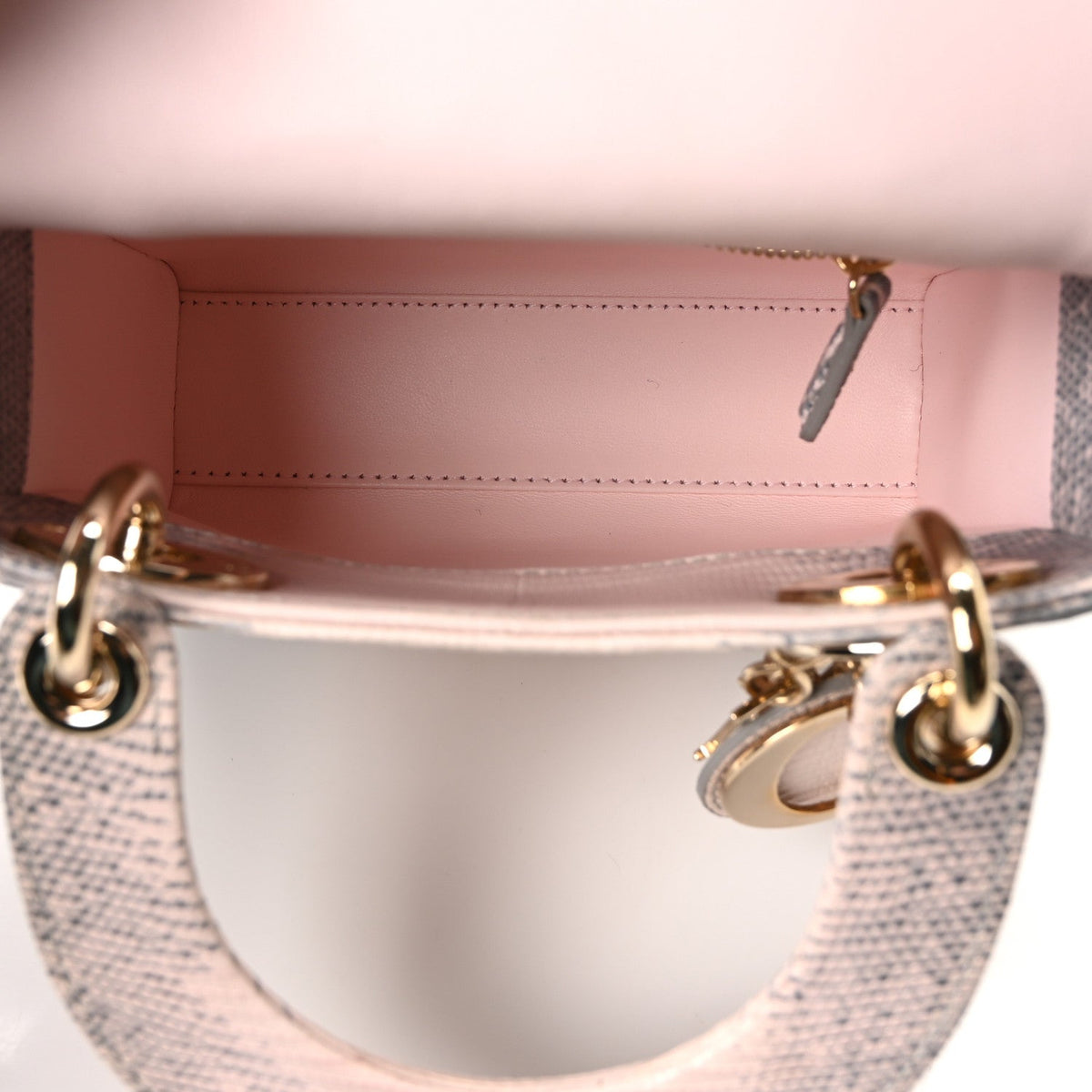 Lizard Ombre Mini Lady Dior Light Pink wholesalehk.shop
