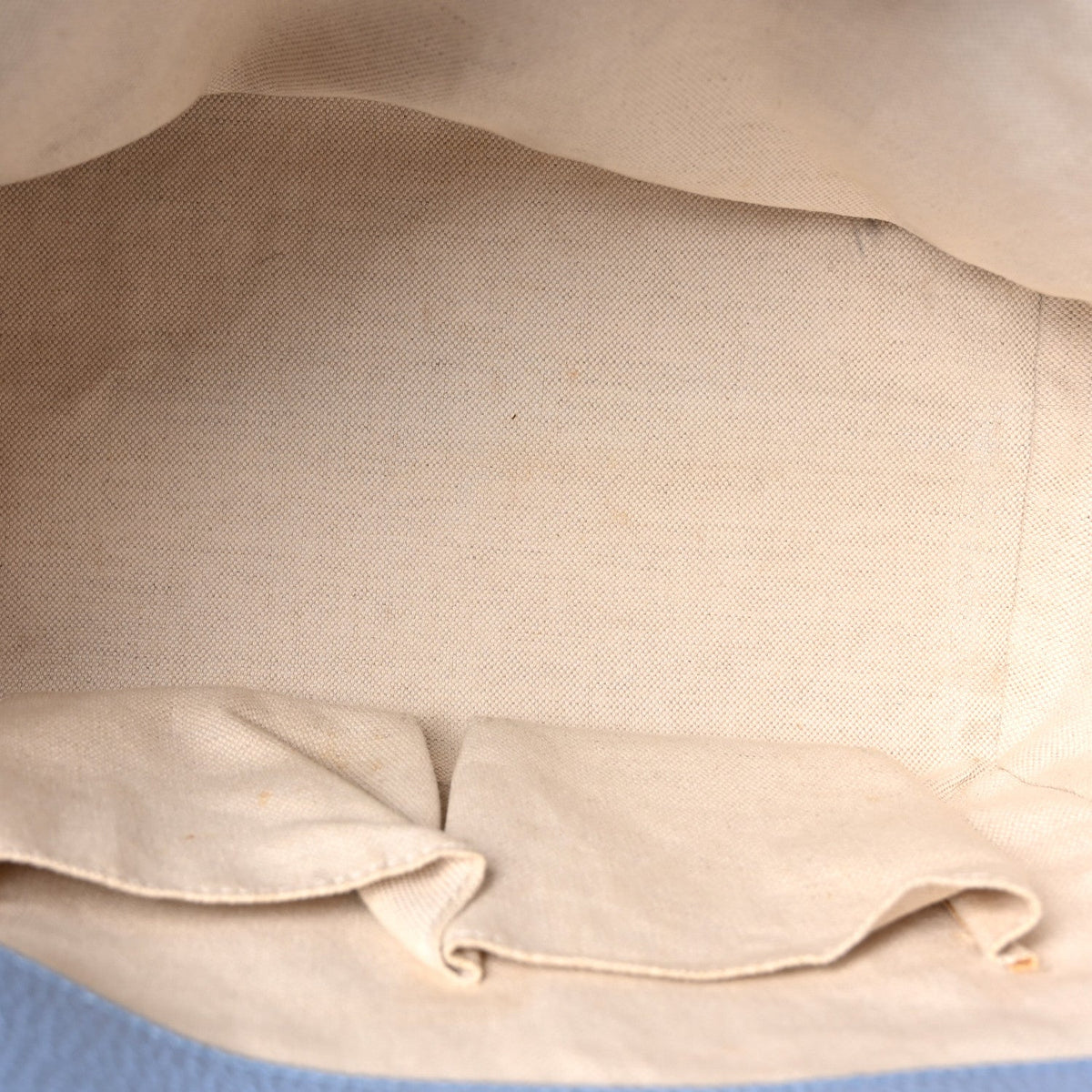 Dollar Calfskin Small Swing Tote Camelia Mineral Blue wholesalehk.shop
