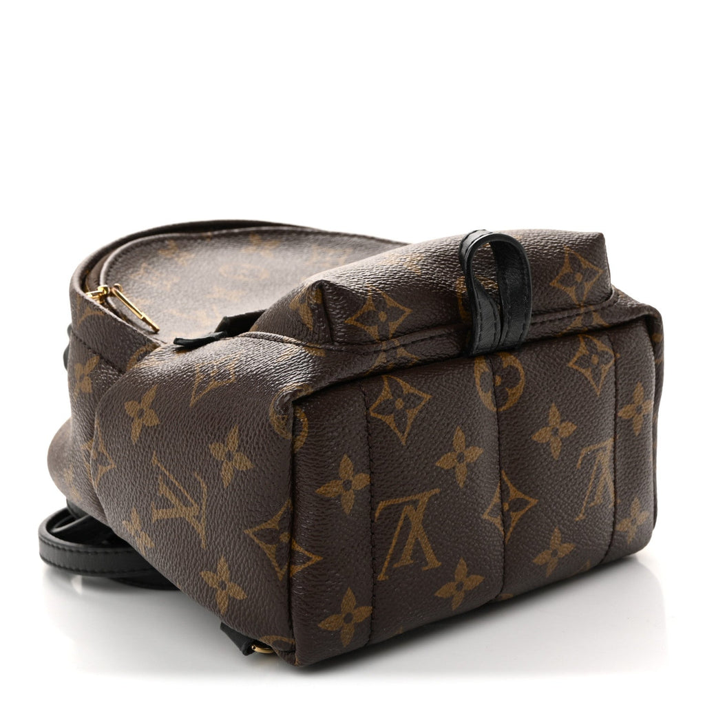 Monogram Palm Springs Backpack Mini £¨ Direct shipment via from wholesalehk.shop