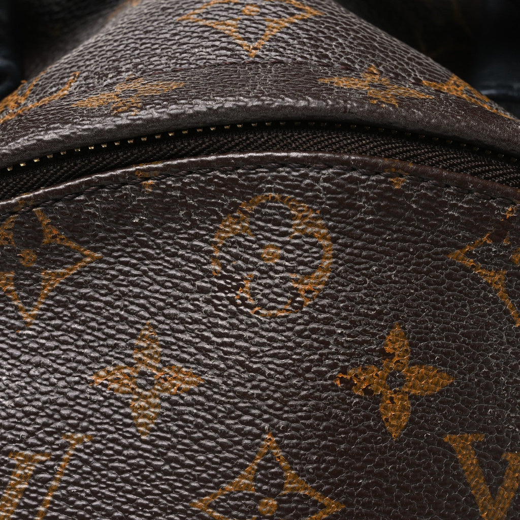 Monogram Palm Springs Backpack MM £¨ Direct shipment via from wholesalehk.shop