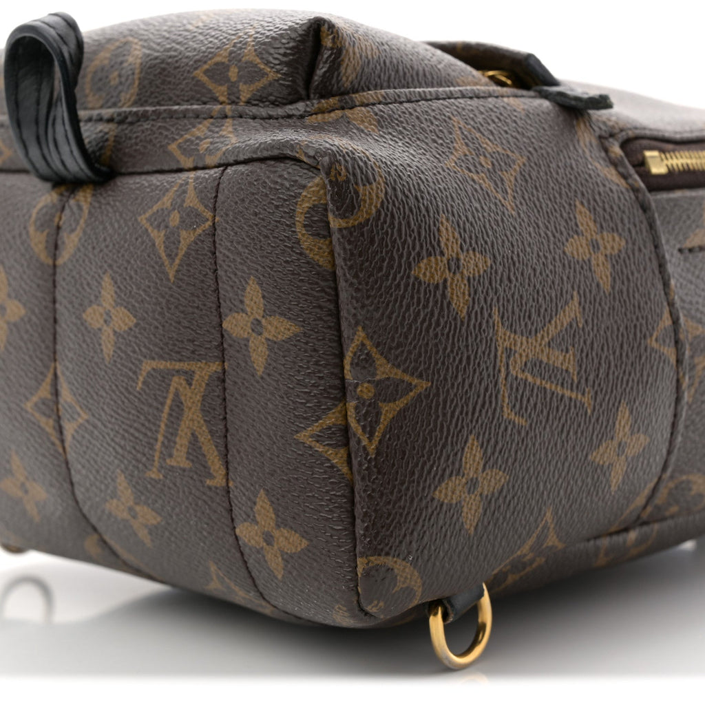Monogram Palm Springs Backpack Mini £¨ Direct shipment via from wholesalehk.shop
