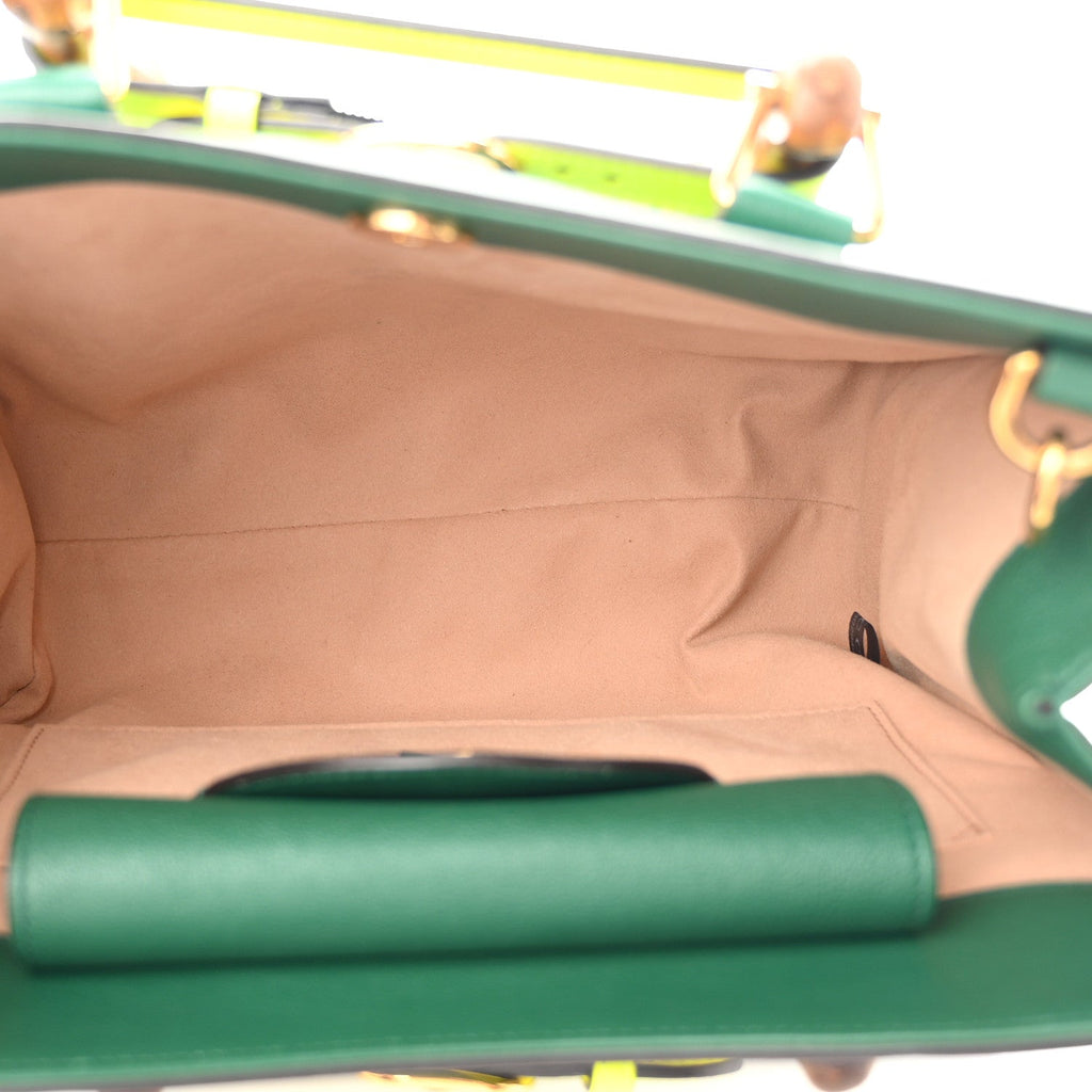 Wonka Grain Calfskin Small Diana Tote Bag Green Yellow Fluo wholesalehk.shop