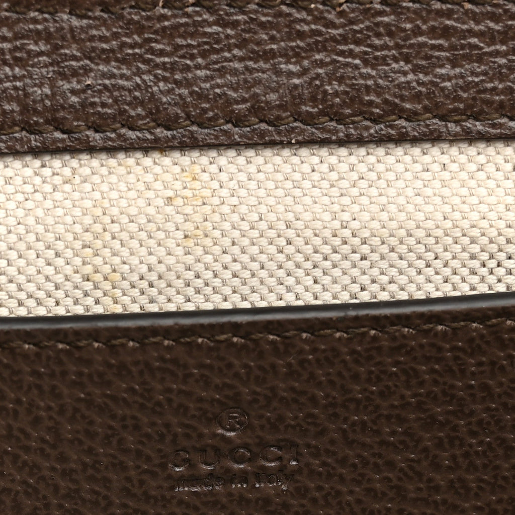 GG Supreme Monogram Textured Dollar Calfskin Web Mini Ophidia Envelope Shoulder Bag Beige Ebony wholesalehk.shop