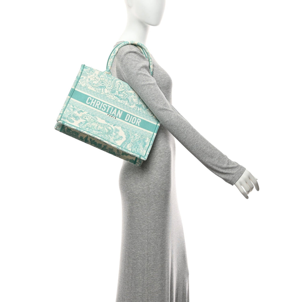 Canvas Embroidered Medium Dioriviera Toile De Jouy Book Tote Aquamarina £¨ Direct shipment via from wholesalehk.shop