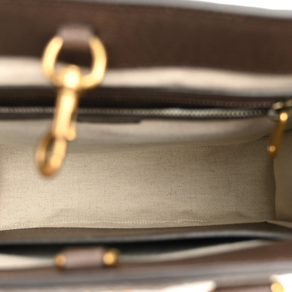 GG Supreme Monogram Textured Dollar Calfskin Web Medium Ophidia Tote Bag Beige Ebony wholesalehk.shop