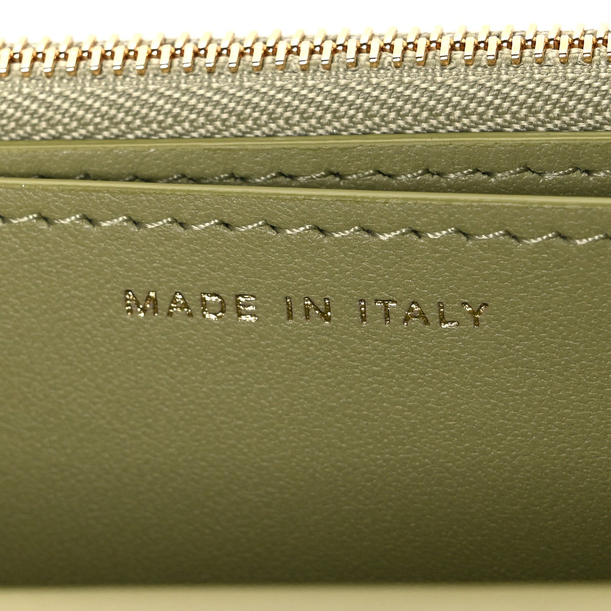Shiny Lizard Wallet on Chain WOC Green wholesalehk.shop