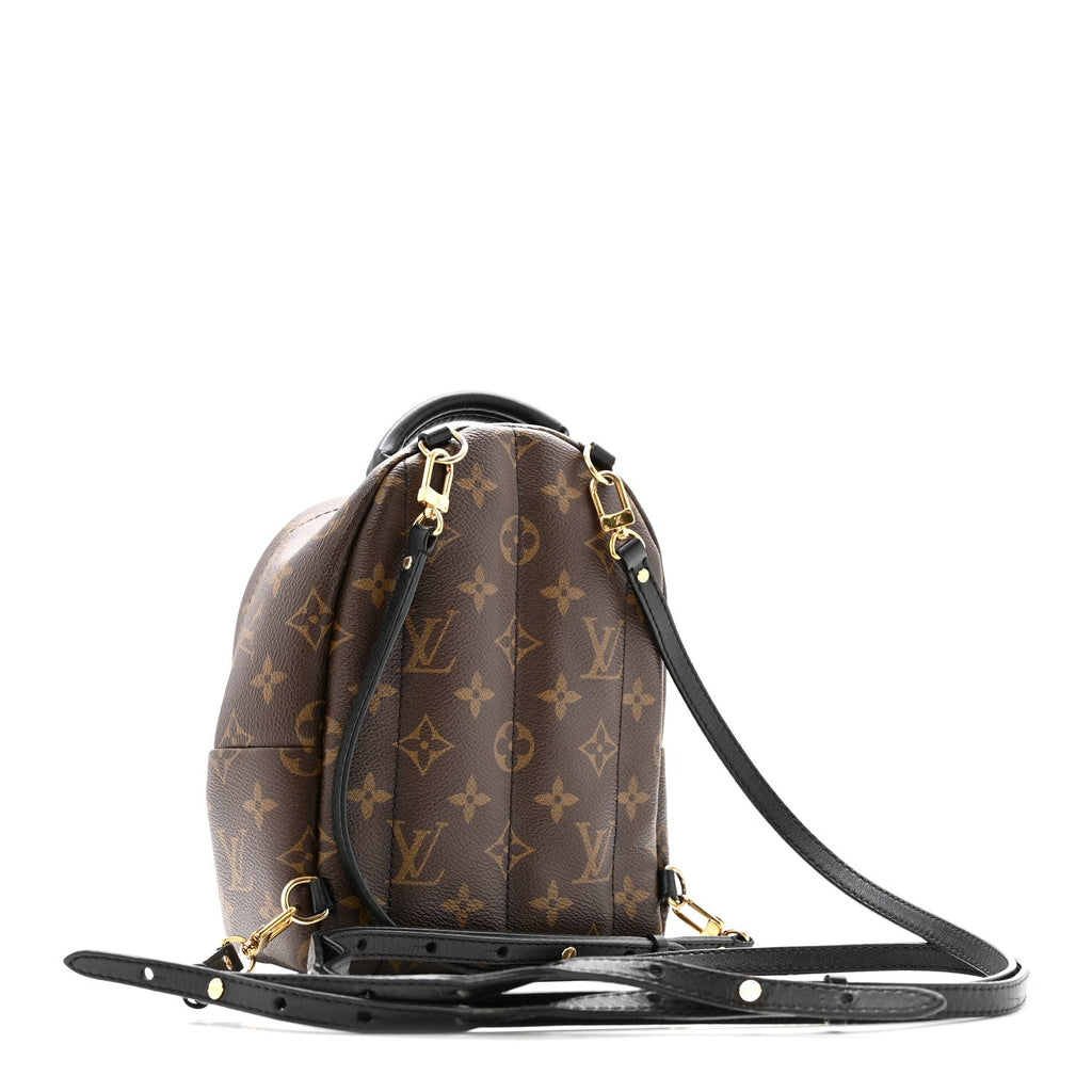 Monogram Palm Springs Backpack Mini £¨ Direct shipment via from wholesalehk.shop