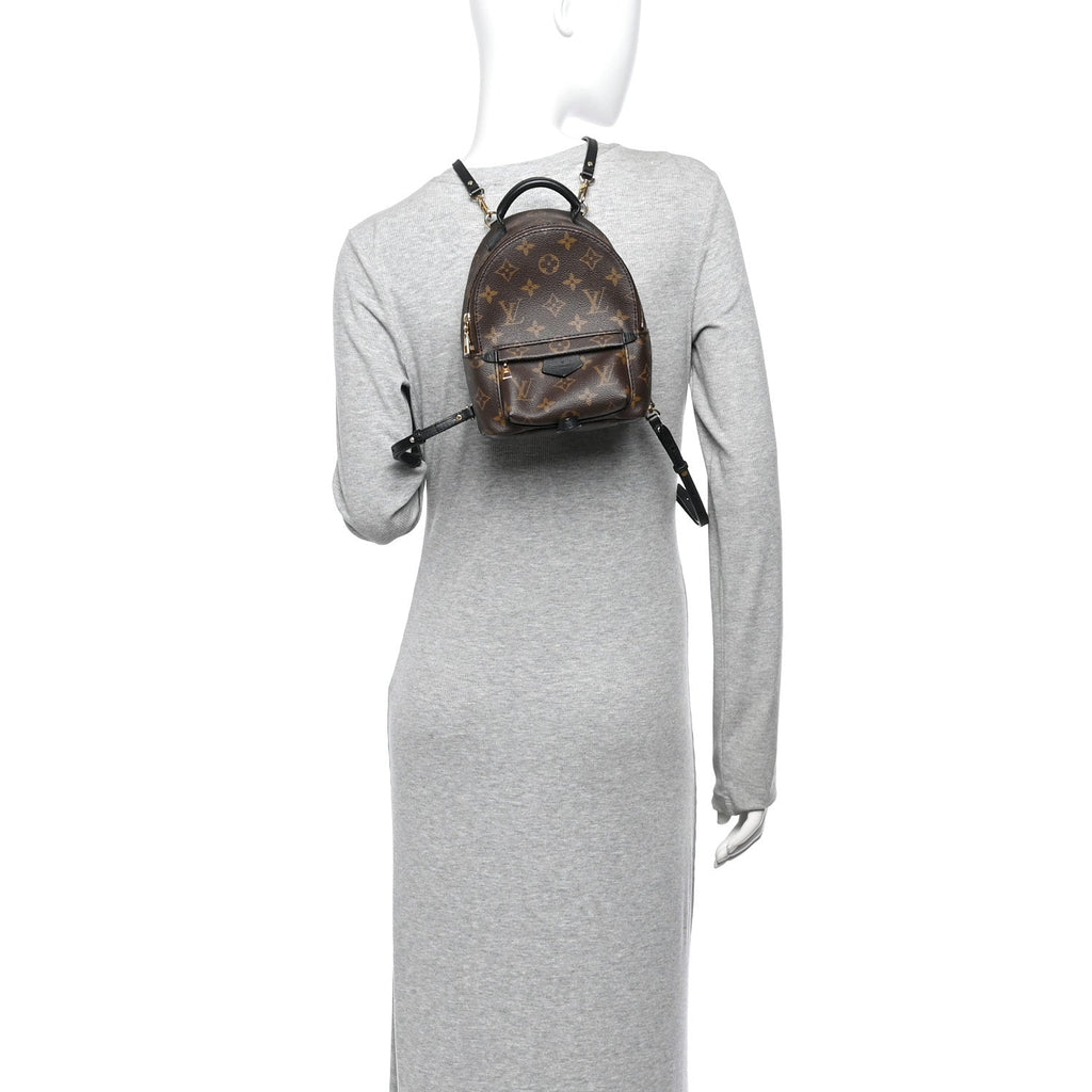Monogram Palm Springs Backpack Mini £¨ Direct shipment via from wholesalehk.shop