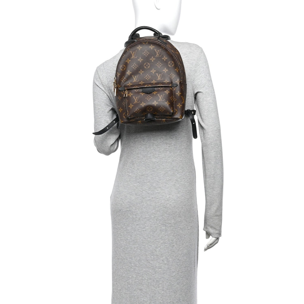 Monogram Palm Springs Backpack PM £¨ Direct shipment via from wholesalehk.shop