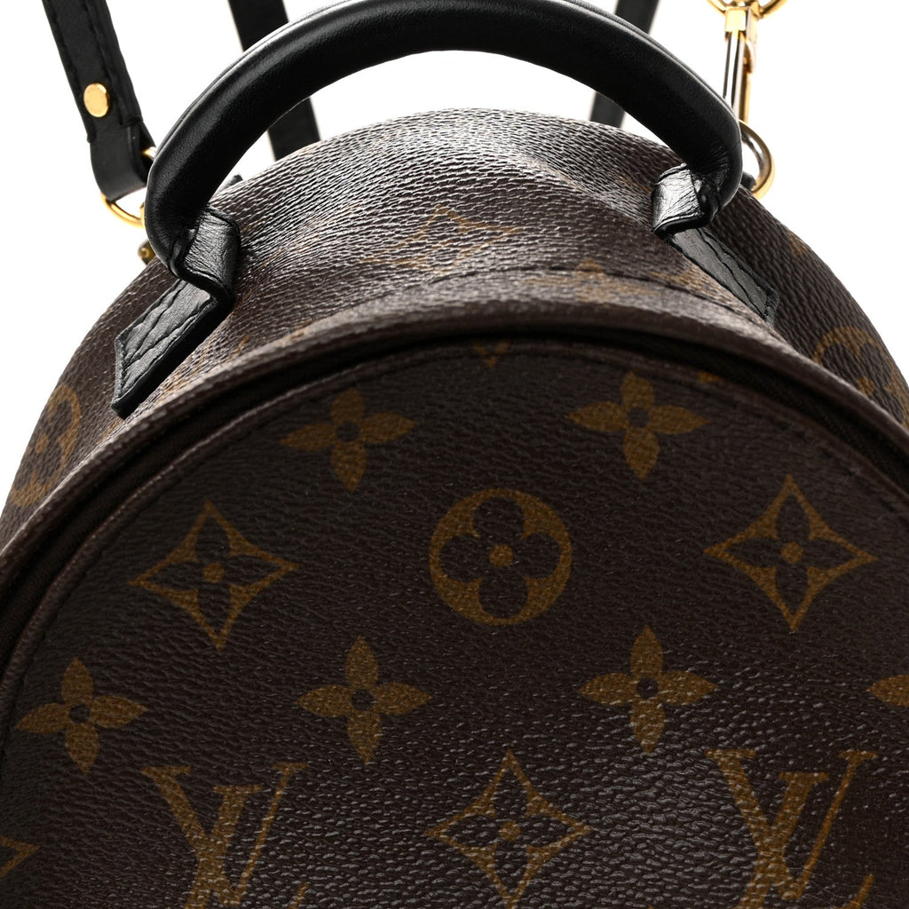 Monogram Palm Springs Backpack Mini £¨ Direct shipment via from wholesalehk.shop