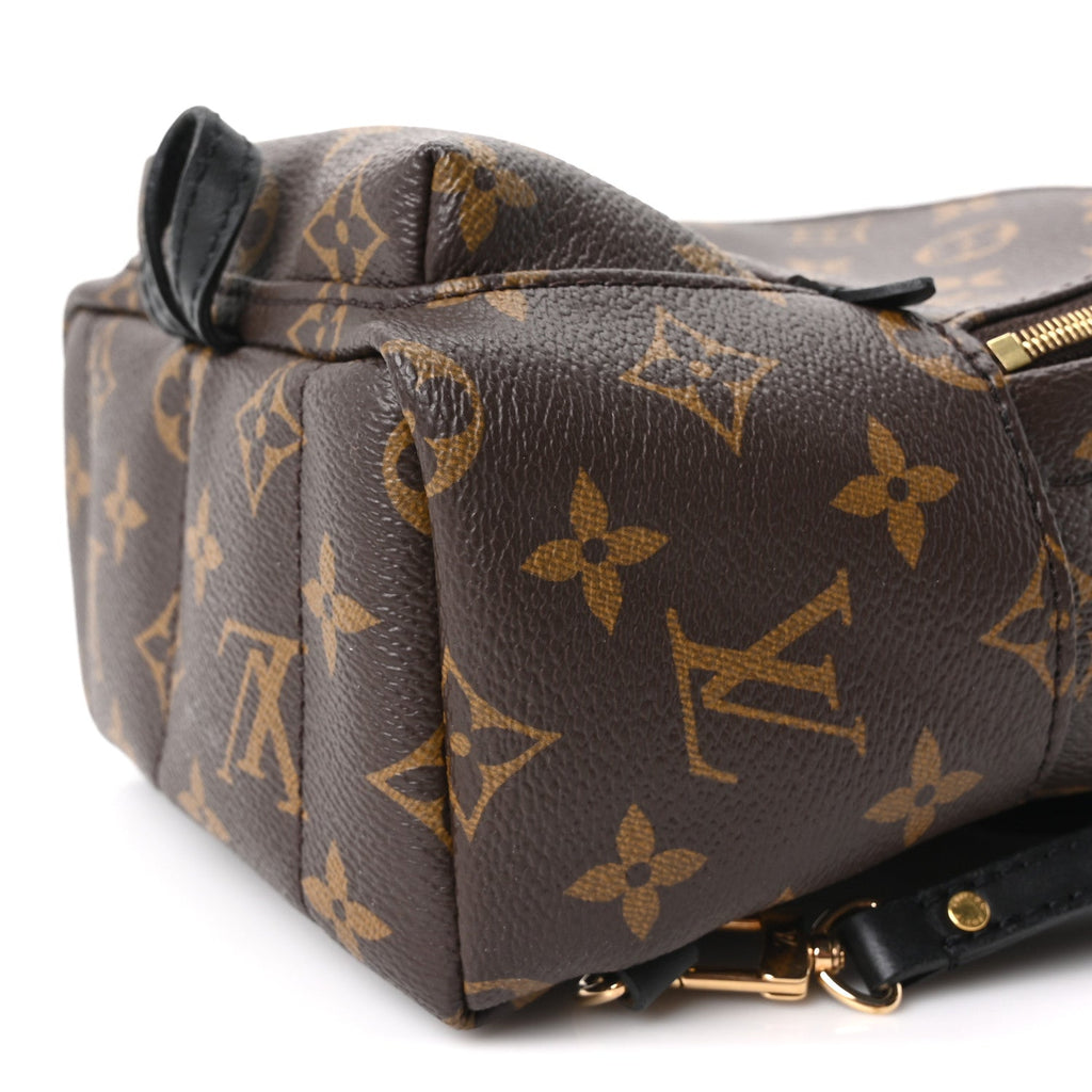 Monogram Palm Springs Backpack Mini £¨ Direct shipment via from wholesalehk.shop