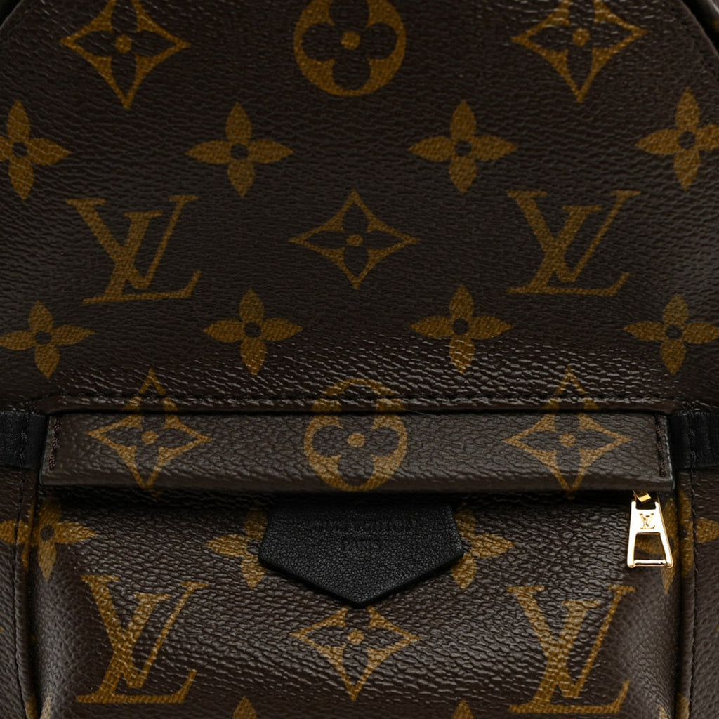 Monogram Palm Springs Backpack Mini £¨ Direct shipment via from wholesalehk.shop