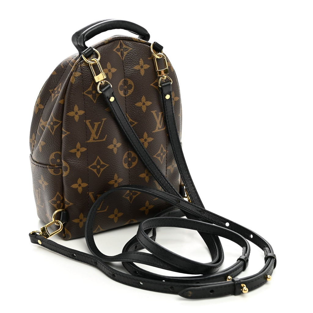 Monogram Palm Springs Backpack Mini £¨ Direct shipment via from wholesalehk.shop