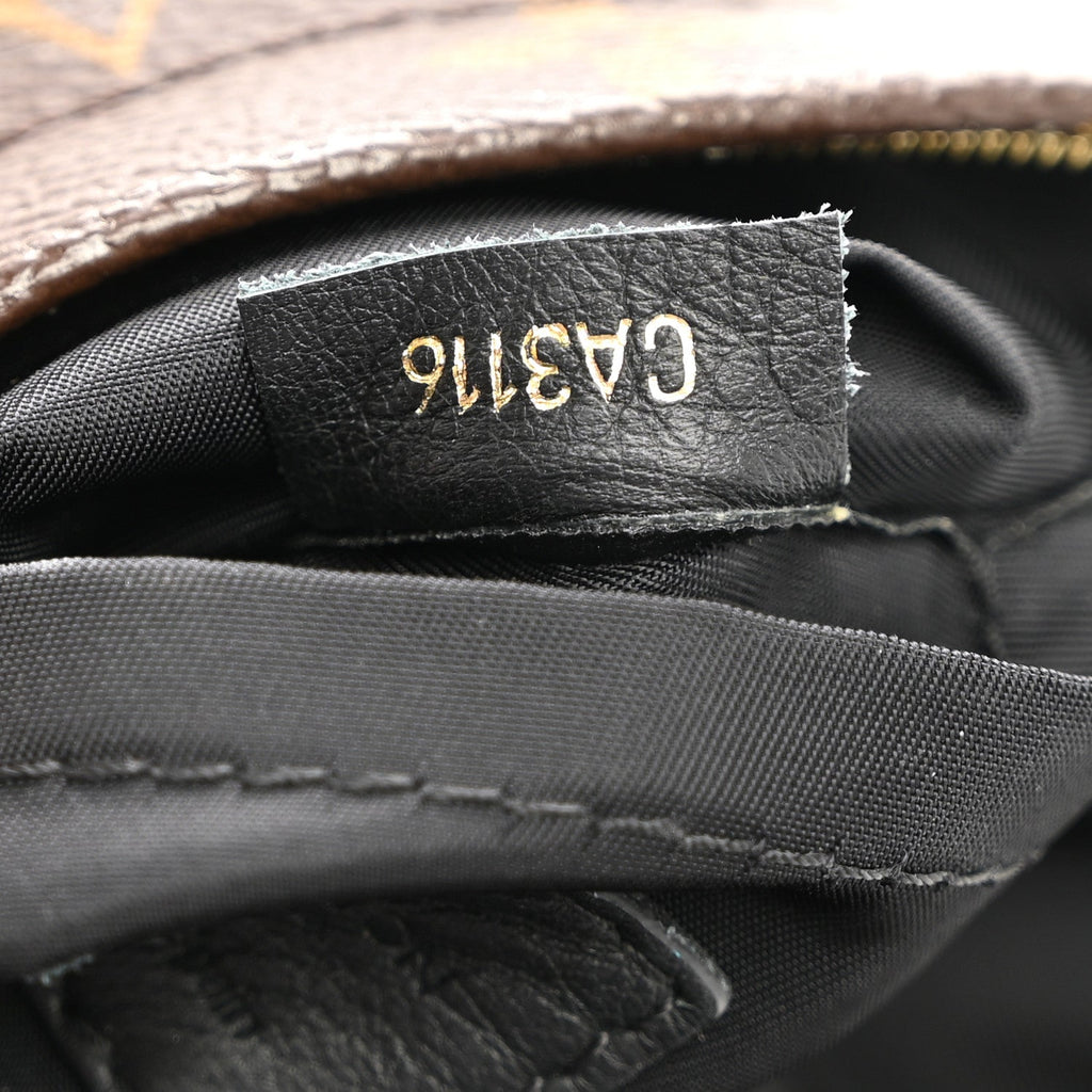 Monogram Palm Springs Backpack Mini £¨ Direct shipment via from wholesalehk.shop