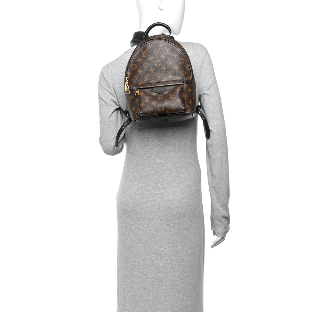 Monogram Palm Springs Backpack PM £¨ Direct shipment via from wholesalehk.shop
