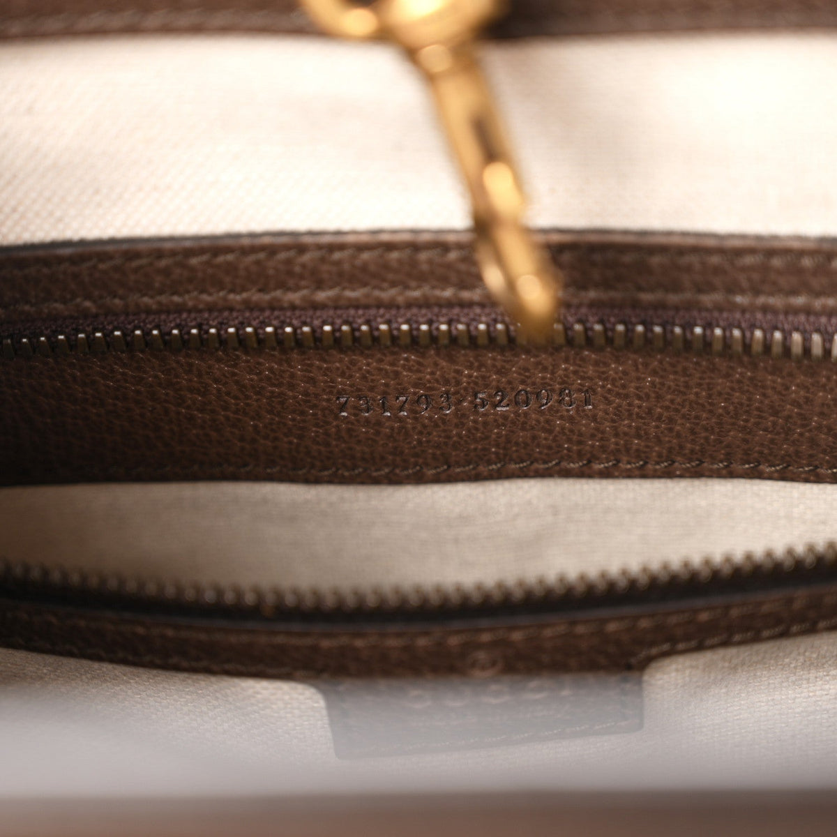 GG Supreme Monogram Web Textured Dollar Calfskin Medium Ophidia Tote Brown wholesalehk.shop