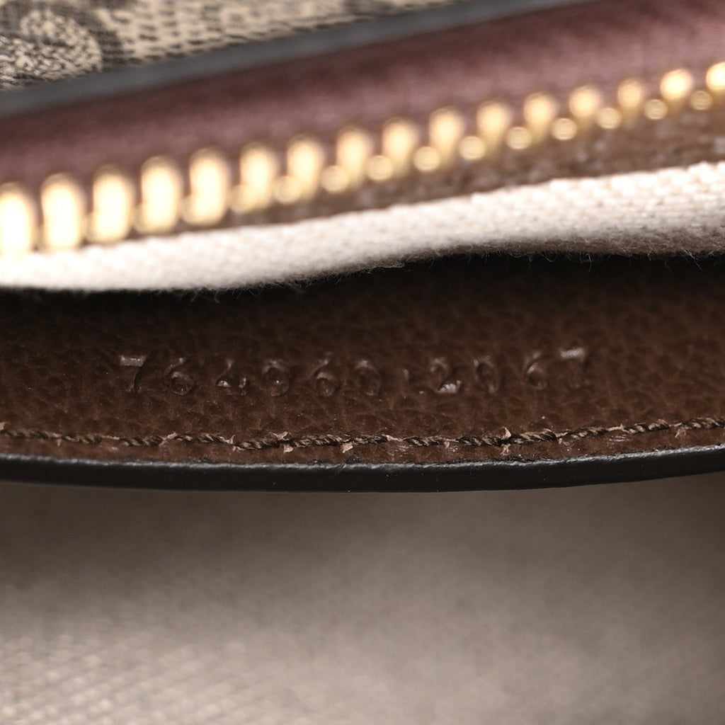 GG Supreme Monogram Textured Dollar Calfskin Mini Ophidia Chain Bag Beige Ebony wholesalehk.shop