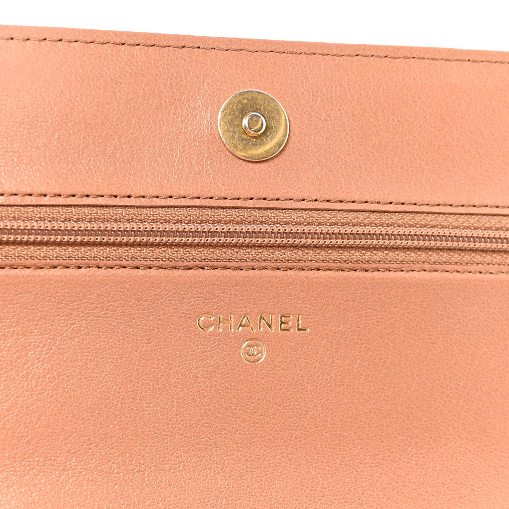 Lambskin Quilted Chanel 19 Wallet On Chain WOC Brown wholesalehk.shop