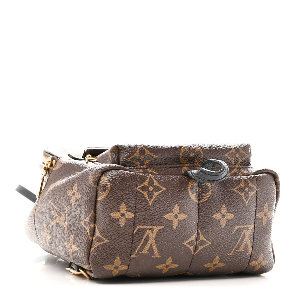 Monogram Palm Springs Backpack Mini £¨ Direct shipment via from wholesalehk.shop