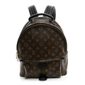 Monogram Palm Springs Backpack MM £¨ Direct shipment via from wholesalehk.shop