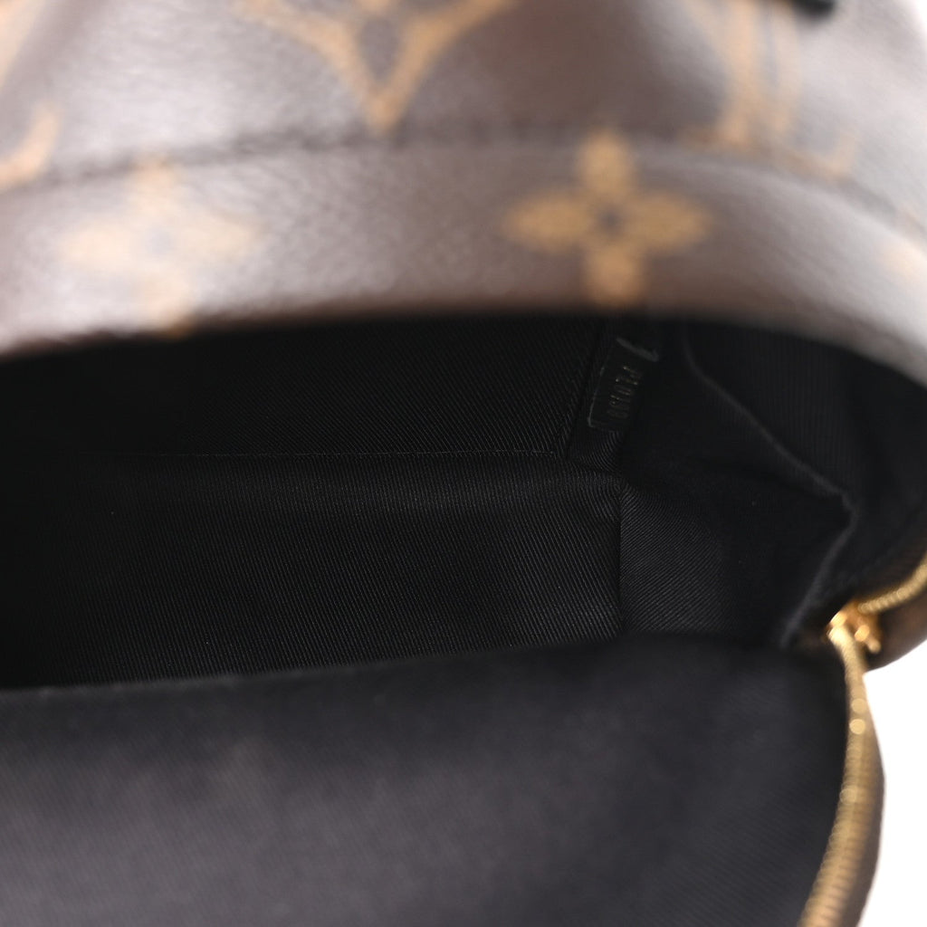 Monogram Palm Springs Backpack Mini £¨ Direct shipment via from wholesalehk.shop