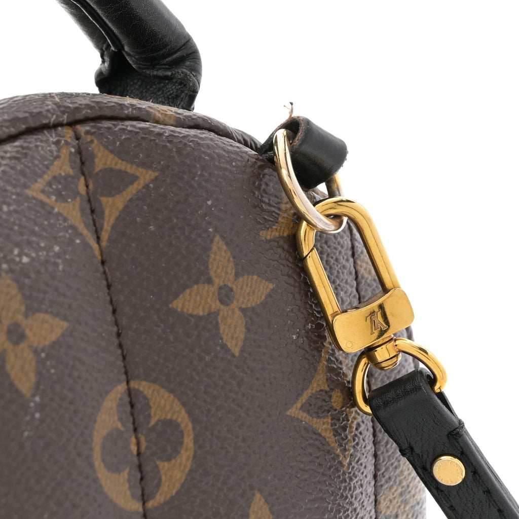 Monogram Palm Springs Backpack Mini £¨ Direct shipment via from wholesalehk.shop