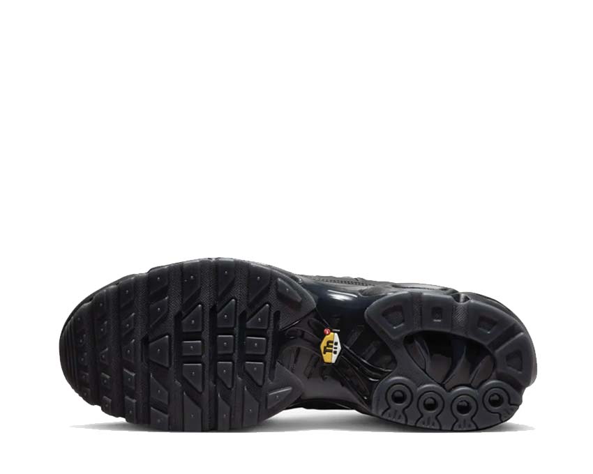 Nike Air Max Plus A Cold Wall