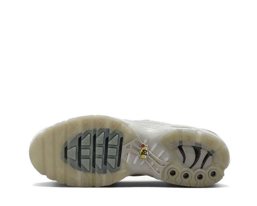 Nike Air Max Plus A Cold Wall