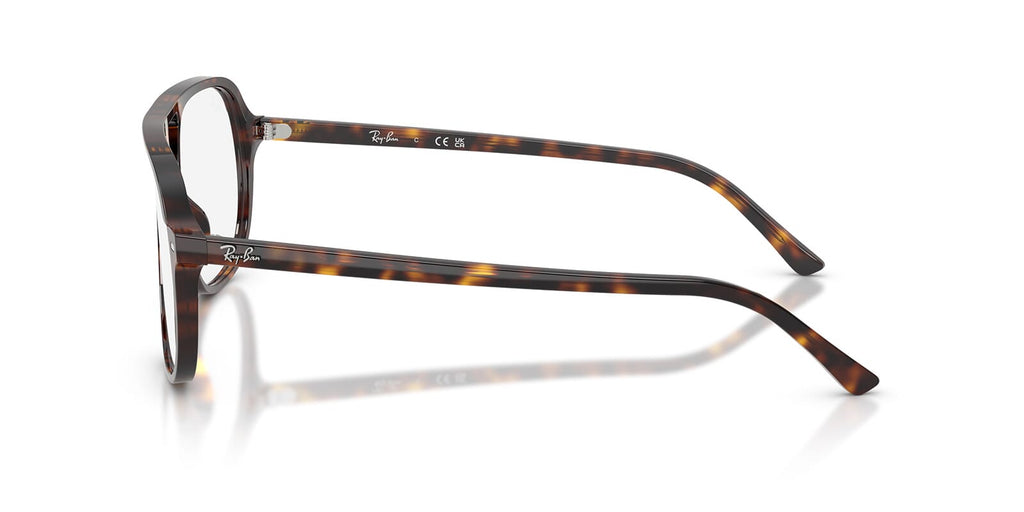 Ray-Ban RB5698