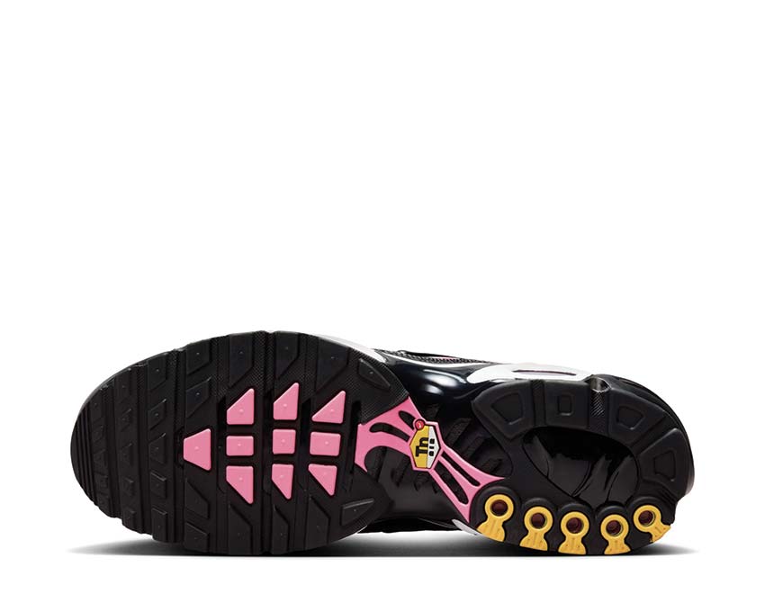 Nike Air Max Plus "All Day"