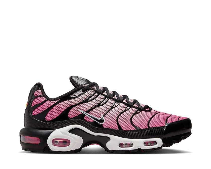 Nike Air Max Plus "All Day"