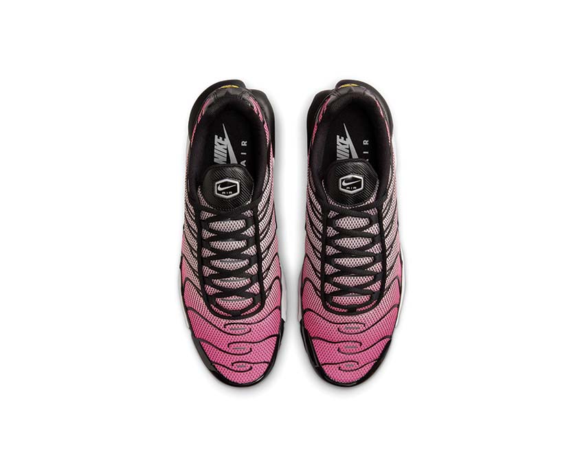 Nike Air Max Plus "All Day"