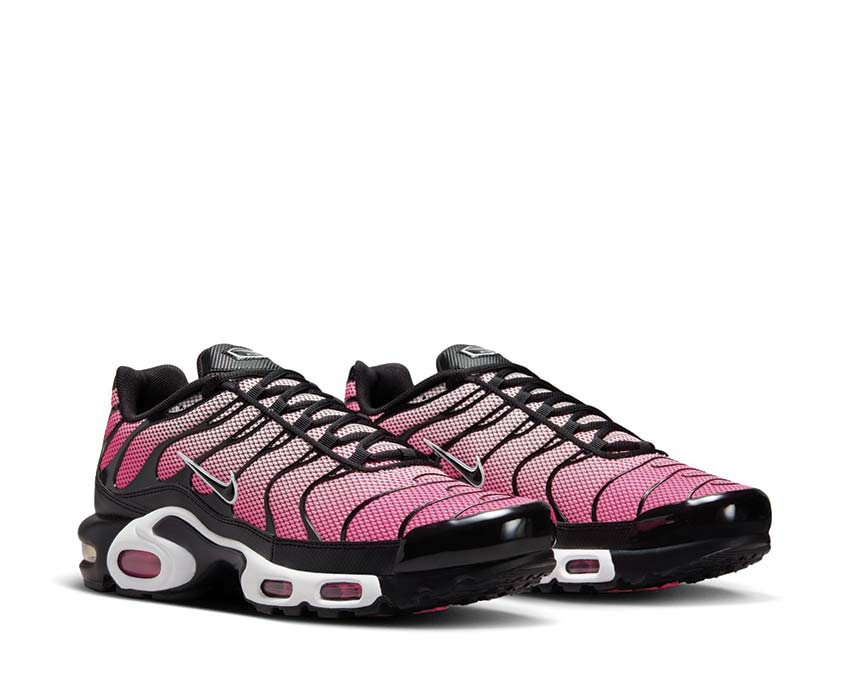 Nike Air Max Plus "All Day"
