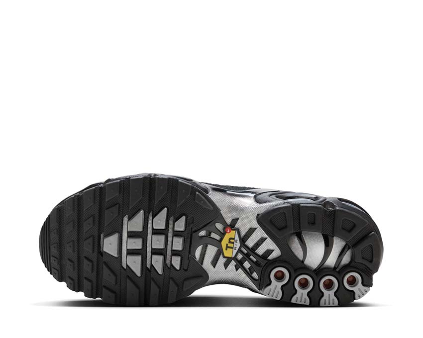 Nike Air Max Plus W "Black Silver"