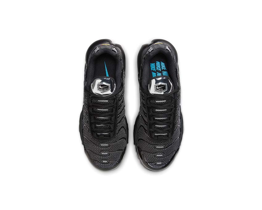 Nike Air Max Plus W "Black Silver"