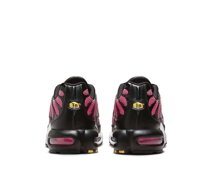 Nike Air Max Plus "All Day"