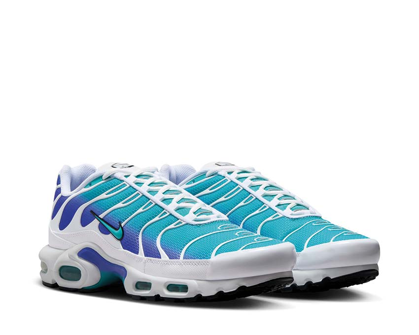 Nike Air Max Plus "Aqua"