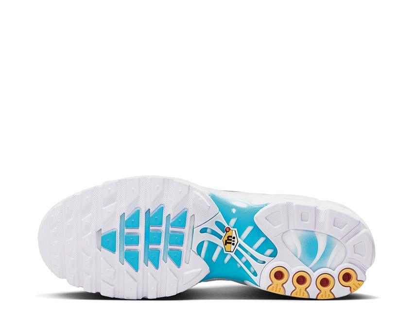 Nike Air Max Plus "Marseille"